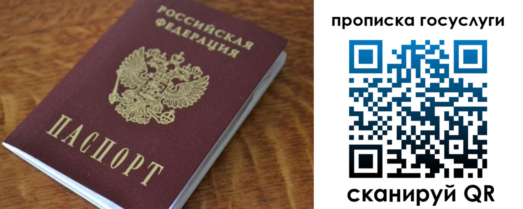 временная регистрация гарантия в Новозыбкове